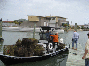 Weslene and Ted Gaetjen coming in with a load of abandoned crab traps.