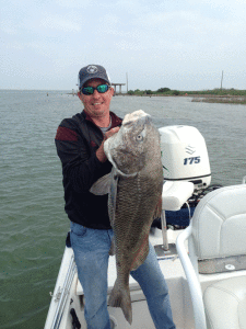 Jeremy Flessner caught and released this 40” long black drum on March 19. It weighed over 50 lbs. (The scale only went that high.) His mother, Debora Hess, caught and released a 40 1/2” redfish that weighed 23 lbs., 10 oz. The redfish was caught at the big jetties and the black drum in Saluria Bayou. Jeremy and his family are from Houston and have a house in Port O’Connor. His mother, Debora and step-father Mike Hess, who took this photo, are from Cuero.