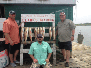 Folks from Weatherford, Texas with limits of redfish while fishing the bays with Capt. Ron of Scales & Tales Guide Service.