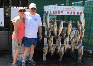 The Gumpl’s from Schulenburg, TX with their catch from 5/2/15. This was their first POC fishing trip. The fish were caught on live shrimp and sardines, fishing with Capt. RJ Shelly.