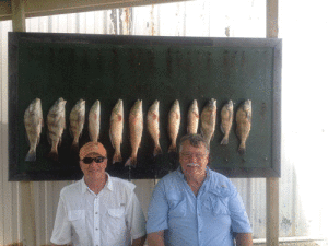 Folks from central Texas had a great morning with limits of redfish and some nice drum while fishing with Capt. Ron Arlitt of Scales and Tales Guide service of POC. These guys are regulars to the Port O’Connor area and really enjoy running the bays looking for the schools of fish. 
