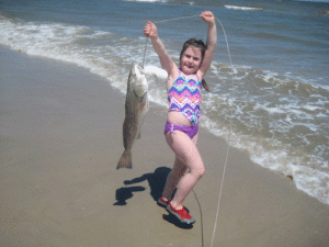 Miss Ayelet Parker, age 5, caught this keeper redfish at Sunday Beach on April 28. She managed to land it all by herself. Ayelet, the granddaughter of Dave and Renate Pope of POC, was visiting from Minneapolis.