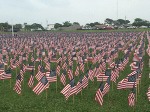 A field of Flags honoring our servicemen killed in the War on Terror.   -Mack Davis