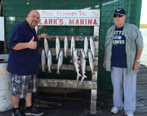 Steve and Thomas Borg with a limit of trout that they caught while fishing with Capt. RJ Shelly on August 10.