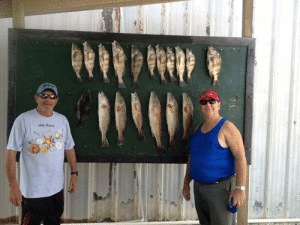 David Carrel of Midland and Mitch Lee from Oklahoma enjoyed a morning fishing trip for redfish and drum with Capt. Ron Arlitt of Scales and Tales Guide Service. Sardines and shrimp were used to catch their limits. wwwscalesandtales.com