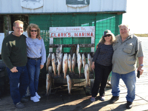 Dan, Jamie, Cindy & Buddy with their catch from 10/27/15, fishing with Capt. RJ Shelly