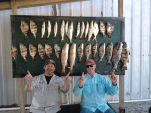 Steve Seymore and Eric Leach from Lubbock had a nice box of fish while chartering with Capt. Ron Arlitt of Scales and Tales Guide Service of Port O’ Connor. The Guys had limits of trout, sheepshead along with several nice drum and redfish. Both have been friends for many years but had never fished Port O’ Connor together. They plan on coming back and bringing more of their friends and family to enjoy the fishing here. Scalesandtales.com 361-564-0958 