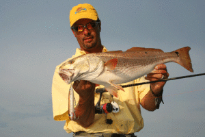 This big red blasted a Super Spook that was worked over shallow grass in two feet of gin clear water. Topwater lures will take reds 24/7. But a gold or copper 1/8 ounce spoon is also a very good option here in Port O’Connor. Capt. Robert Sloan photo