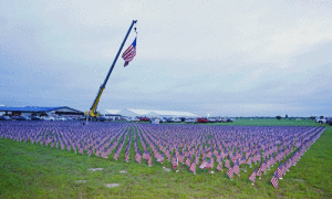 Each flag represents a Warrior who gave all.