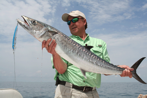Big king mackerel like this one can be caught within a few miles off the Port O’Connor jetties during July and August on both lures and live baits. Robert Sloan photo