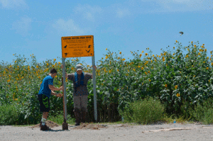Installing signs at Chester Island Bird Sanctuary