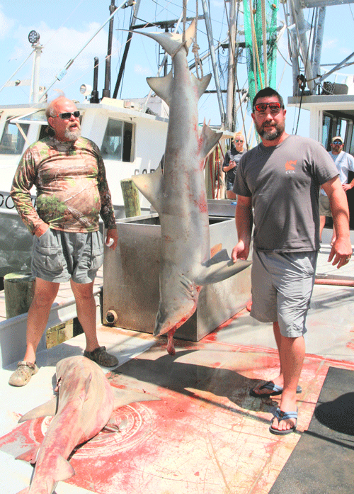 Capt. “Wild” Bill Caldwell and Jason Armstrong teamed up to catch the heaviest shark and win the Sharp Tooth Shootout shark tournament held Aug. 5-6 out of Port O’Connor.