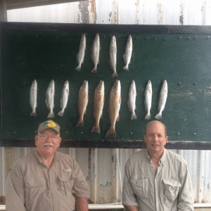 Folks from Houston with nice box of trout and reds while fishing with Capt. Ron Arlitt of Scales and Tales Guide Service of POC. Guys wanted a few hours on the water to beat the heat and they did a super job. Croakers and mullet got ‘em biting. Scales and Tales Guide Service 361-564-0958