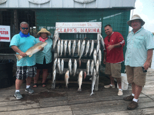 Jacob, Barby, Andrew and Donald with their catch on Sept. 3, fishing with Capt. RJ Shelly.