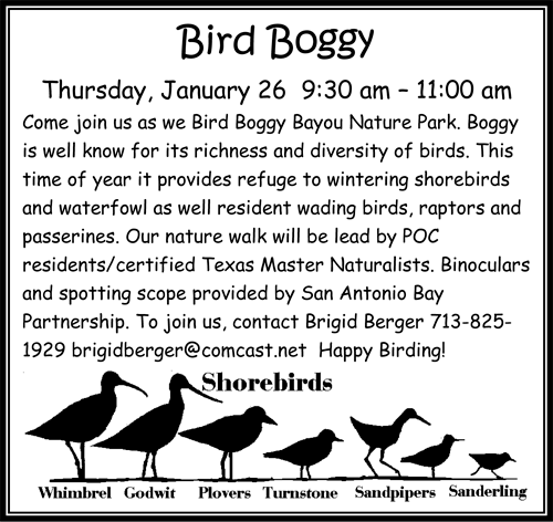 Bird-Boggy-DT-announcement-2017-01-09
