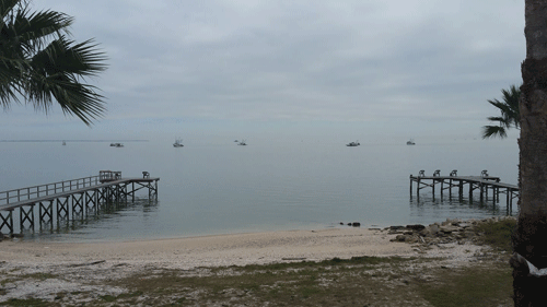 Shrimp and Oyster Boats working a reef in Matagorda Bay off Magnolia Beach. 			           -Photo by Jim Hicks
