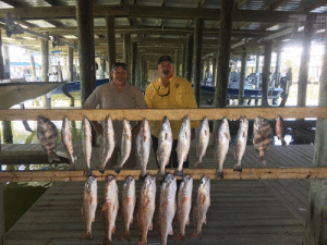 Guys from central Texas enjoyed a recent trip with Capt. Ron of Scales and Tales Guide Service of Port O’ Connor. They had their limits of nice trout and reds using live shrimp. Capt. Ron Arlitt, Scales and Tales Guide Service 361-564-0958 