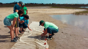 Intercoastal 4H seining at Boggy Nature Park with TMN Brigid Berger