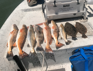 Texas Slam! 	The perfect morning of fishing in Port O’Connor with Capt. Robert Sloan. A Texas slam. Reds, trout, flounder and a drum to go. All were caught while wading with Super Spook Jr.’s, Yum Money Minnow swim baits and tails. Photo by Capt. Robert Sloan with www.luckystrikeguide.com. To book a trip call 409 -782-6796.