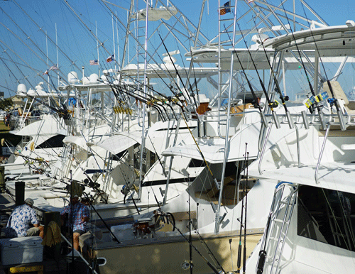 Big Boats at the dock before the start of Poco Bueno -photo by Mike Hessong