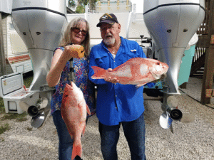 Capt. Roger Ross and wife Elyse caught a limit of nice snapper on labor day weekend 
