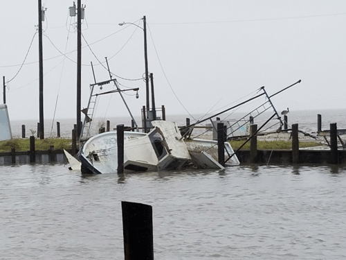 boat-in-harbor