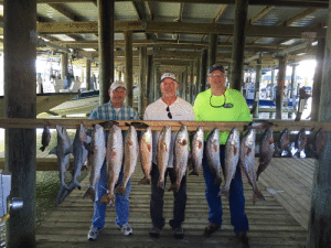 Gents from Houston enjoyed a recent morning trip with Capt. Ron Arlitt of Port O Connor. Guys had a great time visiting POC and loaded the cooler with reds and several other species.  Scales and Tales Guide Service, 361-564-0958 