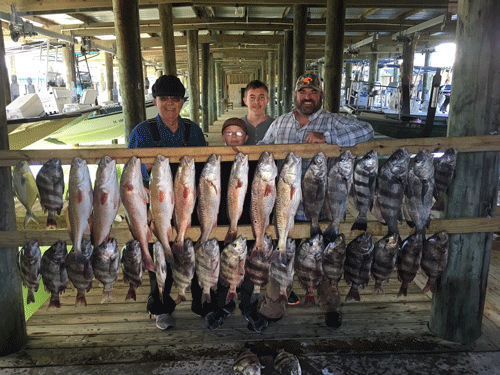 Folks from Kingsland, Texas enjoyed a recent morning fishing charter with Capt. Ron Arlitt of Scales and Tales Guide Service. The group had a cooler full of reds, drum and bay snapper. Weather was awesome for their super day.            Capt. Ron Arlitt; 361-564-0958