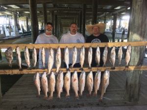 Recent fishing trip with Scales & Tales Guide Service