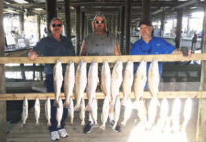 These gentleman from Wichita Falls Texas had a very productive day recently while fishing with Capt. Ron Arlitt of Scales and Tales Guide Service of Port O’Connor. They were able to get their limits of trout and redfish before 11:00 AM and beat the heat. They plan on returning to POC soon.        Capt. Ron Arlitt, 361-564-0958