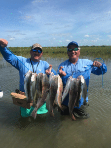 Hugh (L) and Hurcey (R) from Alabama with their catch on October 12th. These fish were caught on spoons and soft plastics. This was their 22nd annual fall wade fishing trip to POC to fish with Capt. RJ Shelly. 