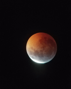 A cherry moon in a cold sky kept skywatchers looking up Sunday (Jan. 20) as the moon passed into Earth’s shadow. This “blood moon” eclipse is the last for North America until 2022. The eclipse took place over several hours.  Photo taken with Android phone using a 15mm lens in a vintage “Edmund Scientific” telescope from the Seadrift bayfront by Judge Wesley J. Hunt.