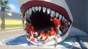 cub-scouts-in-shark