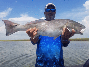 Big Back Bay Redfish! Combat Redfishing with Captain Jeff Larson