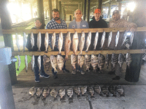 These regular customers recently came down to POC for a morning fishing trip with Capt. Ron Arlitt of Scales and Tales Guide Service. The group wanted to target bay snapper and trout and they did just that. Ended morning trip with cooler full of several species.  Scales and Tales Guide Service 361-564-0958.  