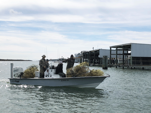 Bringing in derelict crab traps