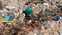 Plastics of all shapes & sizes litter Texas Beached. -Celeste Silling