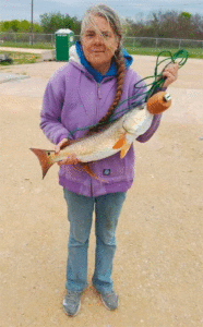 Trish Cyrus, a local Seadrift area resident, has her fish! She caught a beautiful twenty-five inch red fish at the “Hole”. The “Hole” is technically the Navigation District Harbor, but as kids it was the “Hole”! Trish has this to say about her catch, “We are blessed to live in an area that we can go out and catch our food.”  So true, Trish!