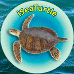 iseaturtle-thumbnail