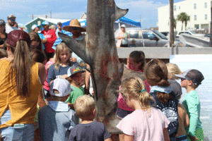 Team Wild Bill took home the biggest shark award with a 158 pound hammerhead shark at the August 14 Sharp Tooth Shootout. The children at the tournament got on the boat to see and touch the shark at Froggie’s.