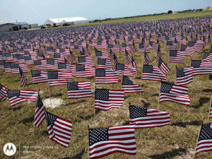 7,000+ American flags placed on the POC Community Center grounds in honor of our warriors who died in Iraq and Afghanistan. -Photo by Jessica Diercks