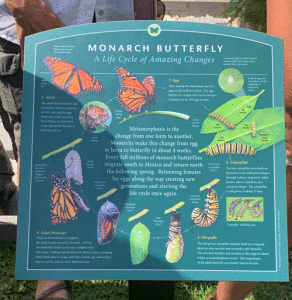 Monarch Waystation Sign at Port O’Connor School