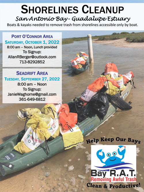 Shorelines-Clean-Up-flier-DT