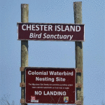 Chester-Island