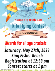 kite-flying-flyer