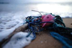 A small sample of plastic debris that washes ashore