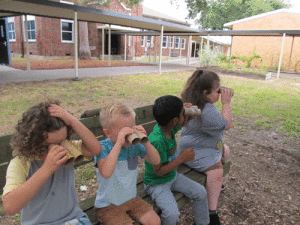 POC Kindergarten learning about the sense of sight:  Students went sightseeing with their homemade binoculars to see what interesting things they could see outside. Pictured left to right-AJ Guzman, Hunter Kalina, Shivaay Patel, and Alexis Taylor.