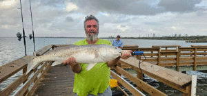 40” Bull Red tagged and released.— with Eric R Swyers Magnolia and Indianola Beach Friends FB. 