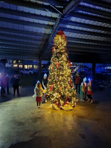 tree-at-night