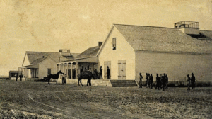 This is one of two known verified photos of a member of the US Camel Corps- though this Camel came to America via Indianola, Texas, it is pictured here at Fort Tejon, California. Rudolph D'Heureuse, who published a series of forty-one photos in 1863 ref Sorenson, Michael K.. A Most Curious Corps. Military Images Magazine. Archived from the original on 2014-07-28. Retrieved on 13 February 2013., Public domain, via Wikimedia Commons
